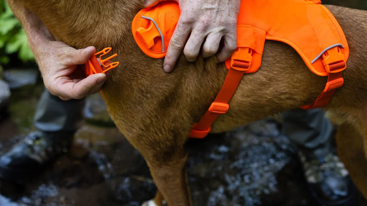 Dog Lift Harness with Three-Strap Escape-Resistant Fit, Neck Buckle and Breathable Foam Back Panel