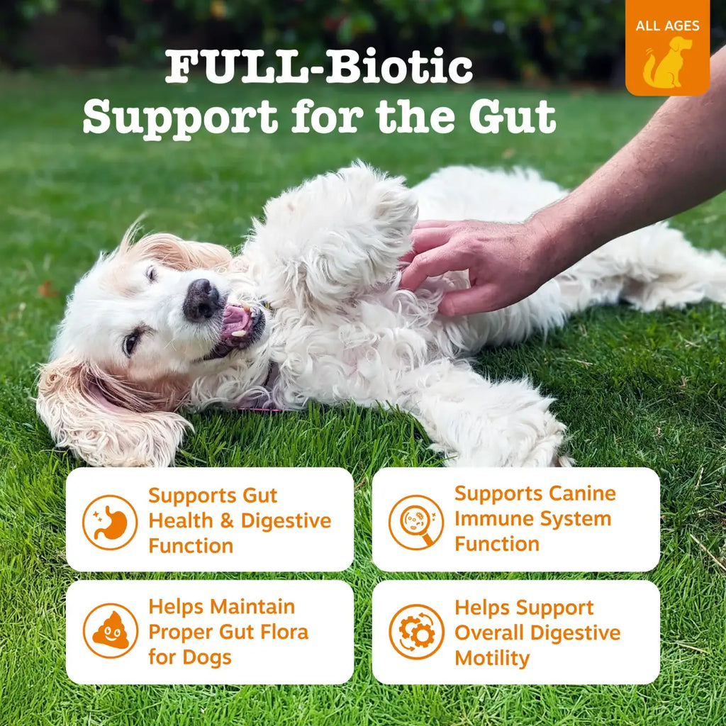 Dog Probiotic Soft Chews, 90-Count Chicken Digestive Support