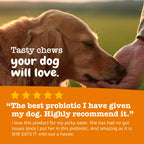 Dog Probiotic Soft Chews, 90-Count Chicken Digestive Support