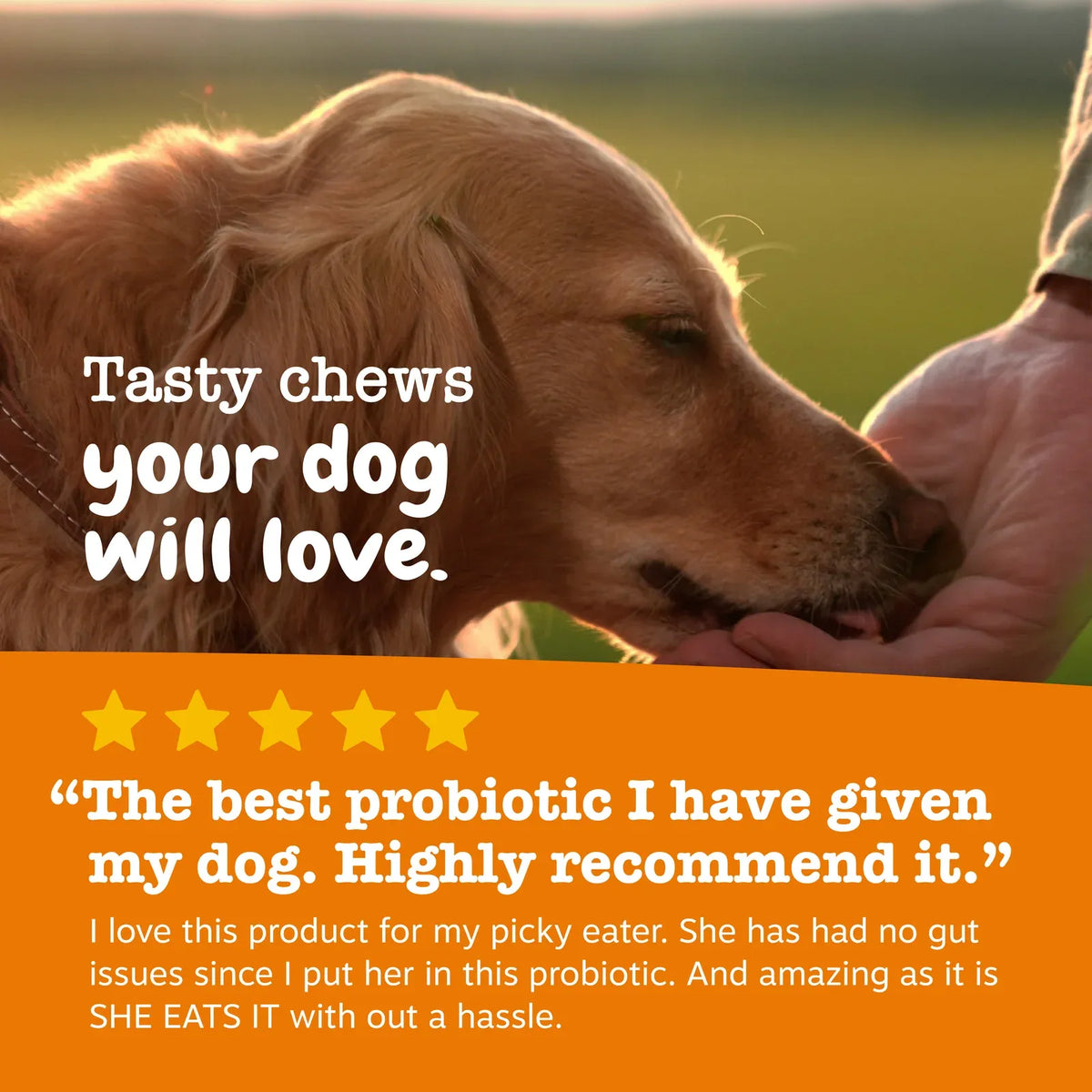 Dog Probiotic Soft Chews, 90-Count Chicken Digestive Support