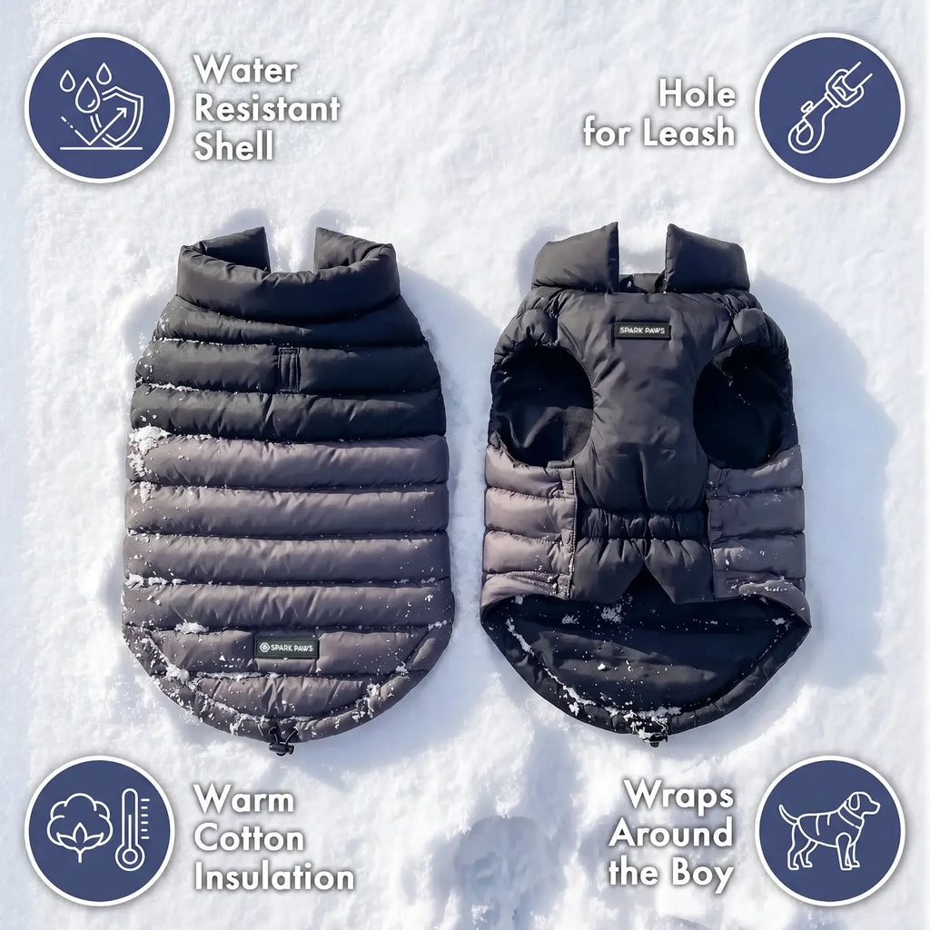Dog Puffer Winter Jacket in Black