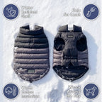 Dog Puffer Winter Jacket in Black