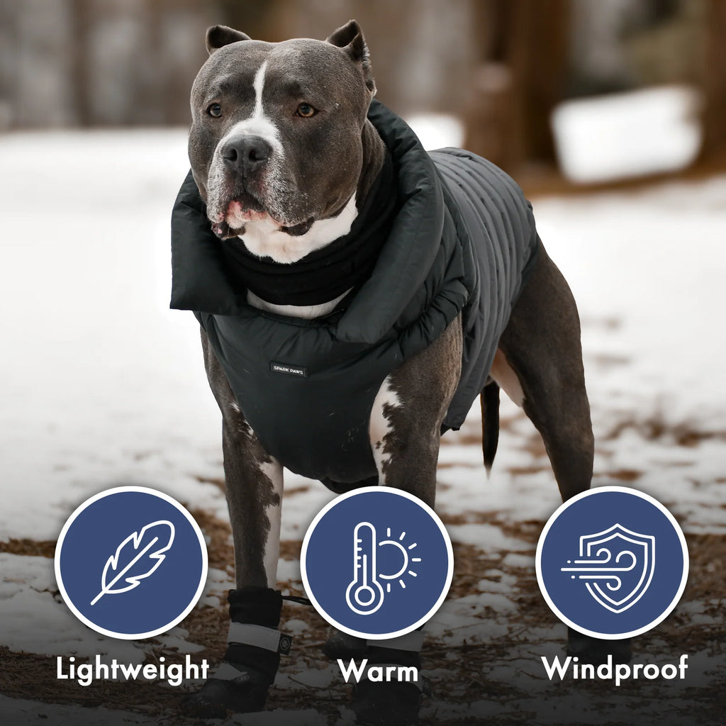 Dog Puffer Winter Jacket in Black