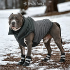 Dog Puffer Winter Jacket in Black