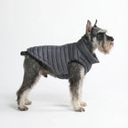 Dog Puffer Winter Jacket in Black