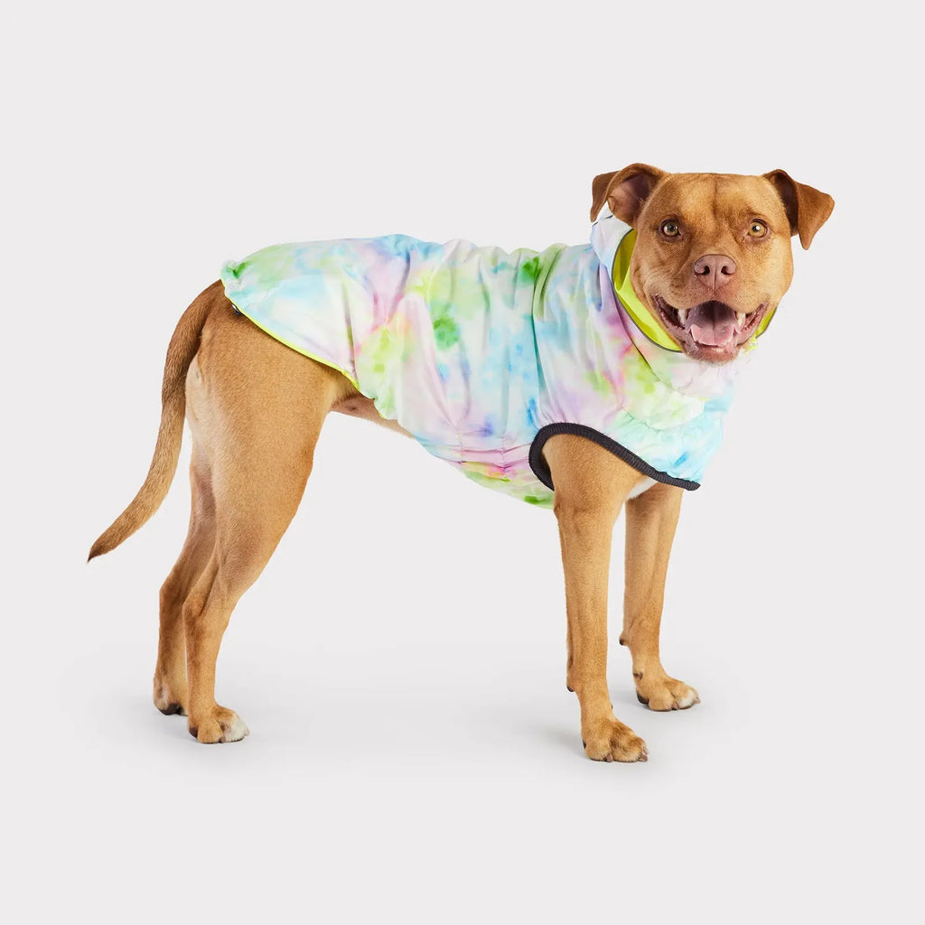 Dog Raincoat