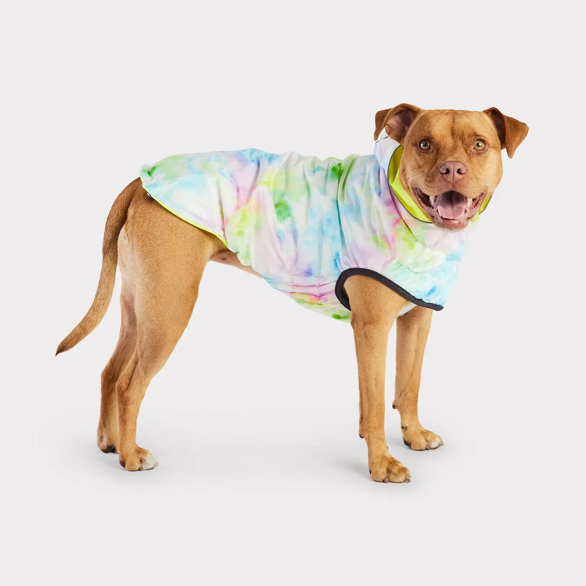Dog Raincoat
