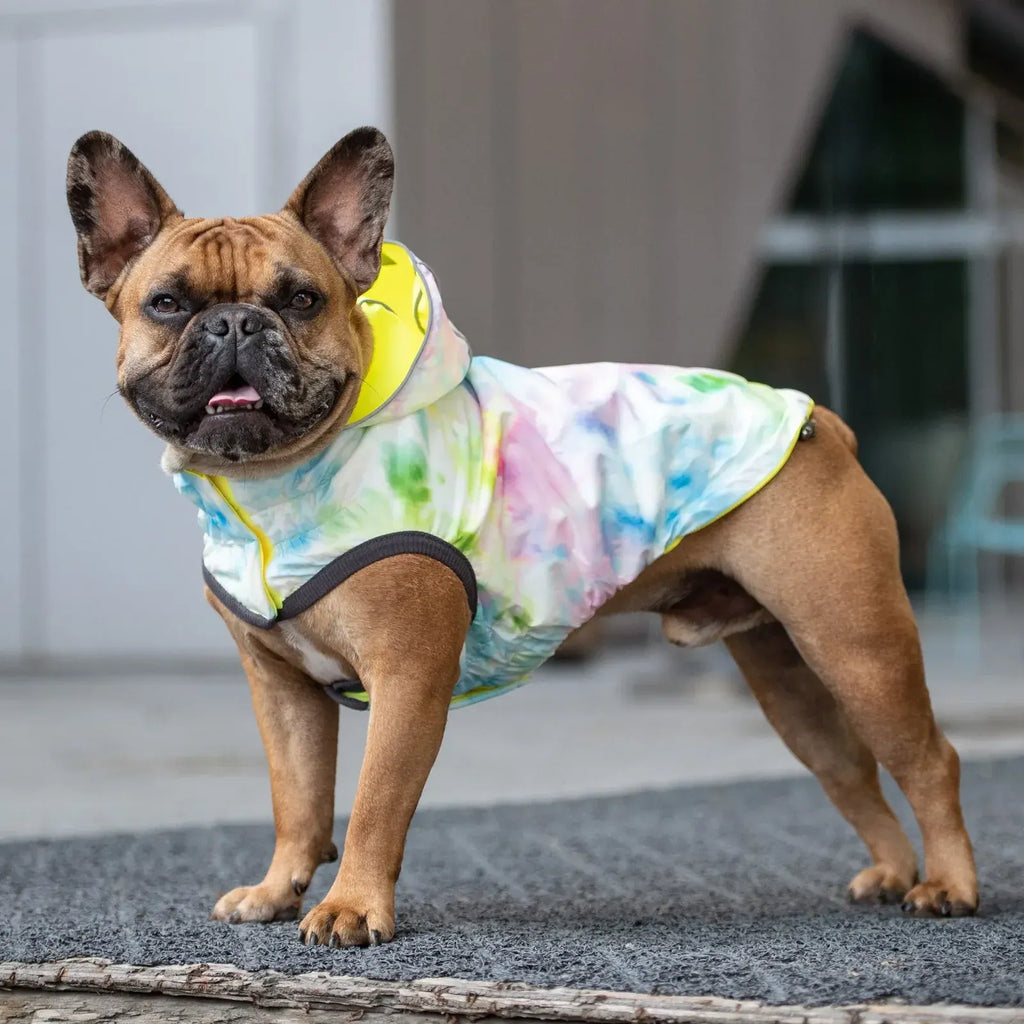 Dog Raincoat