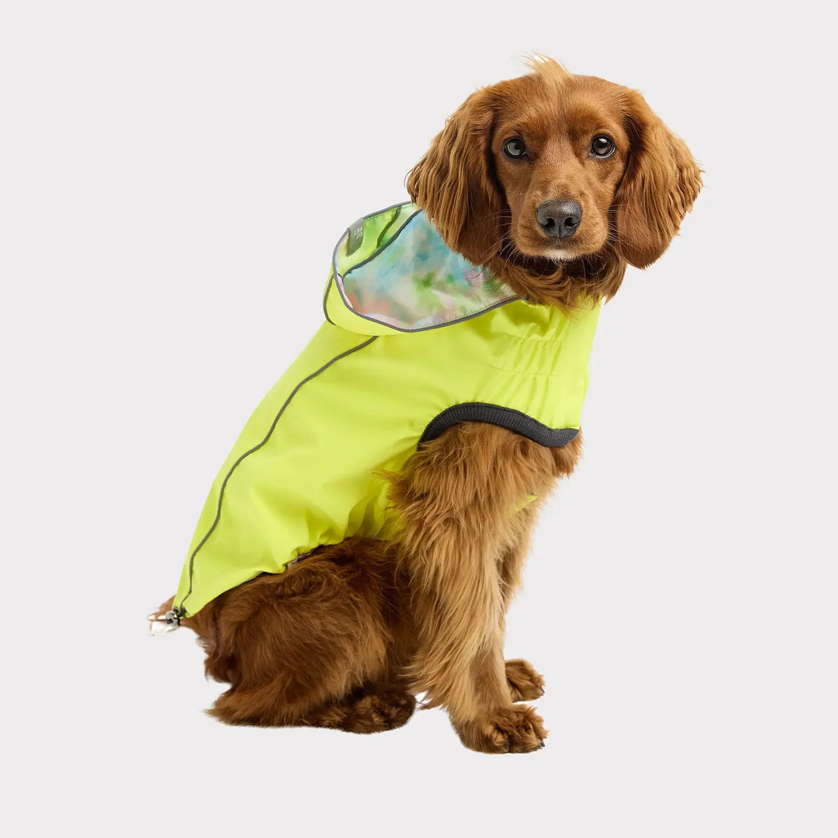 Dog Raincoat