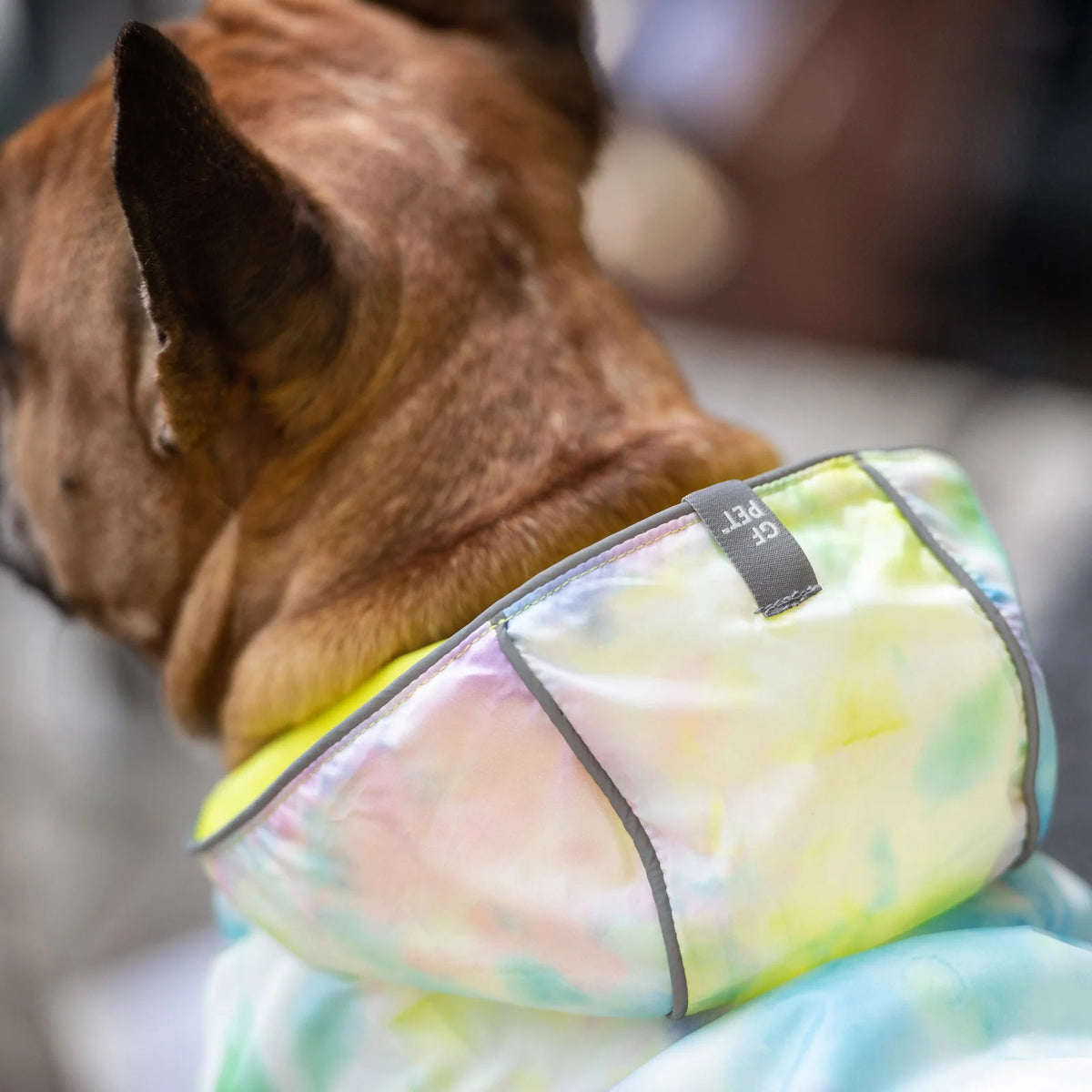 Dog Raincoat
