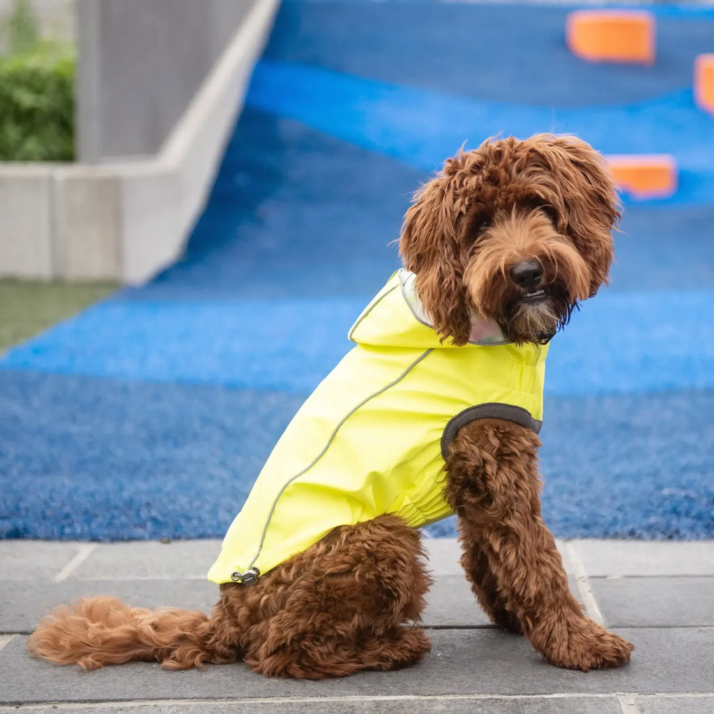 Dog Raincoat