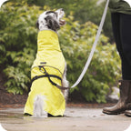 Dog Raincoat Lightweight Waterproof Rain Jacket for Rain and Snow, Wind Resistant, Flexible Fit in 10 Sizes and 6 Colors
