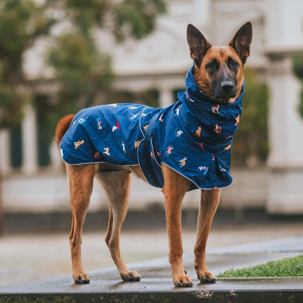 Dog Raincoat with Waterproof Windproof Coverage, Adjustable Belly Strap, Hood, Harness Openings and High-Visibility Detail