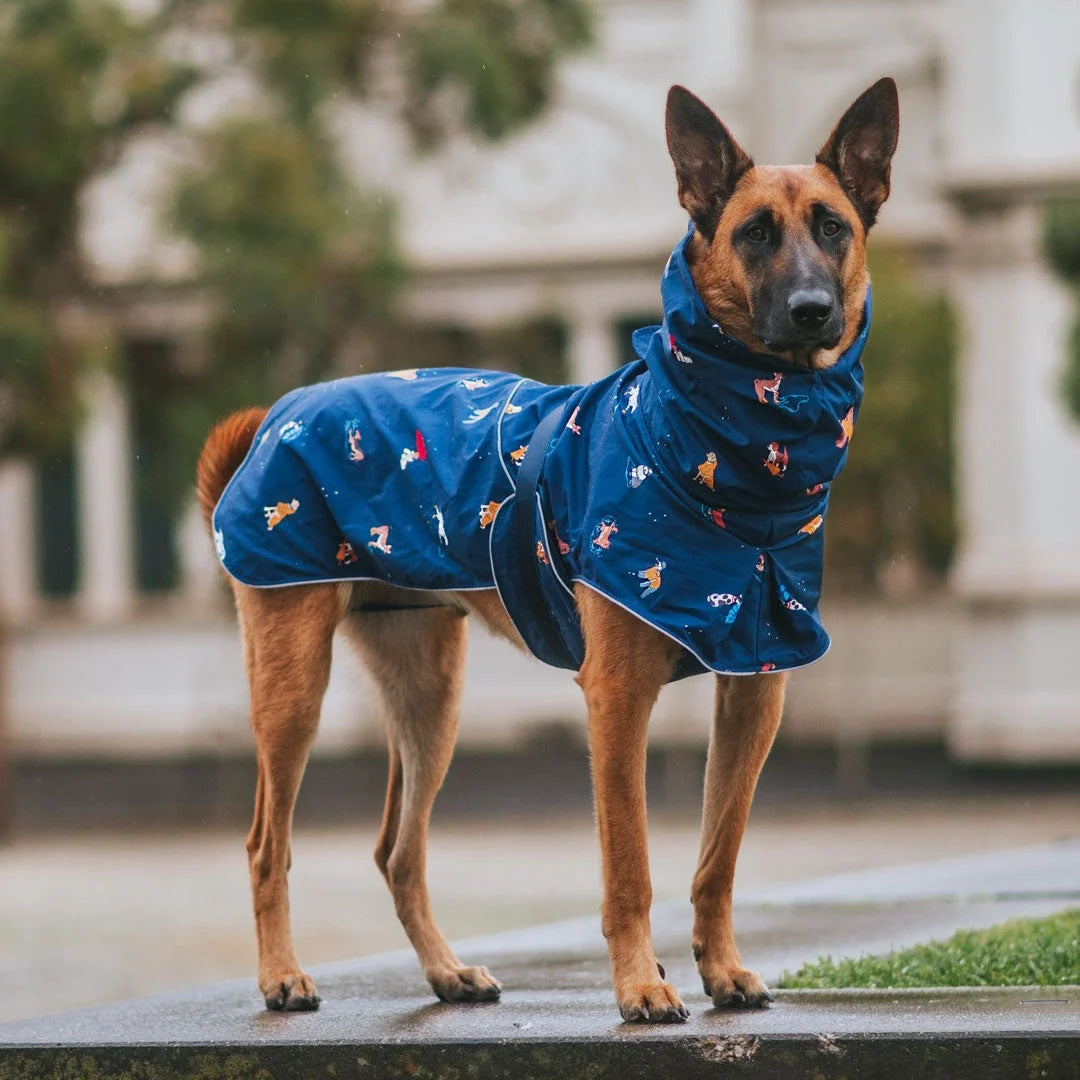 Dog Raincoat with Waterproof Windproof Coverage, Adjustable Belly Strap, Hood, Harness Openings and High-Visibility Detail