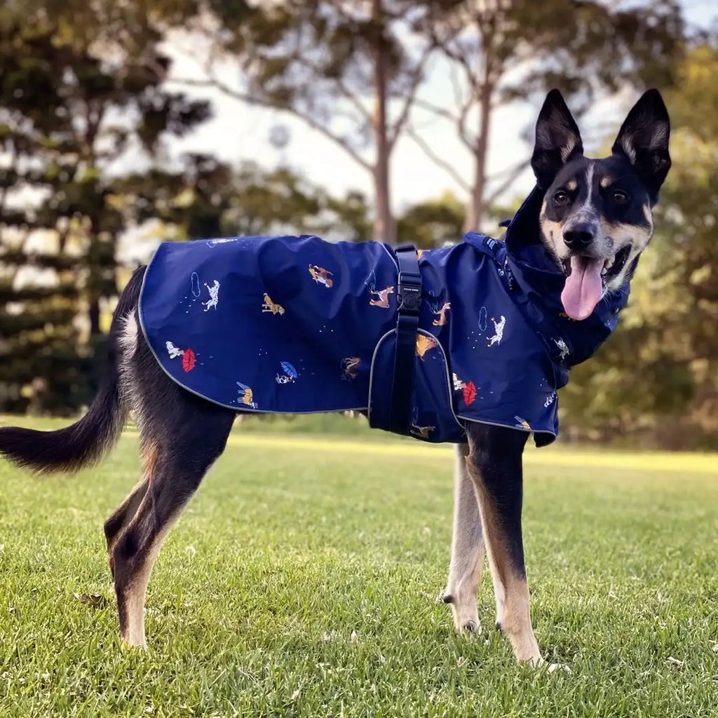 Dog Raincoat with Waterproof Windproof Coverage, Adjustable Belly Strap, Hood, Harness Openings and High-Visibility Detail