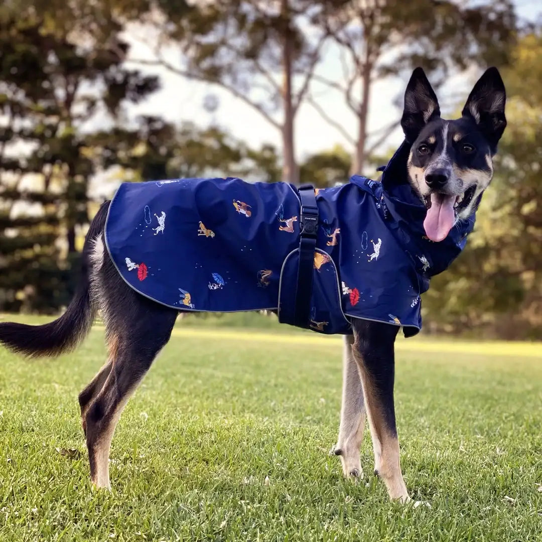 Dog Raincoat with Waterproof Windproof Coverage, Adjustable Belly Strap, Hood, Harness Openings and High-Visibility Detail