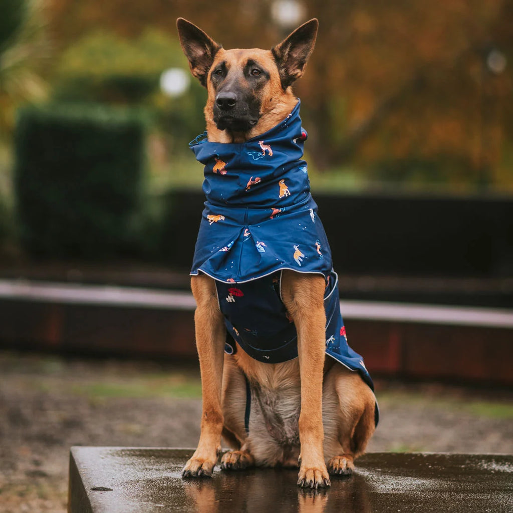 Dog Raincoat with Waterproof Windproof Coverage, Adjustable Belly Strap, Hood, Harness Openings and High-Visibility Detail