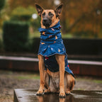 Dog Raincoat with Waterproof Windproof Coverage, Adjustable Belly Strap, Hood, Harness Openings and High-Visibility Detail