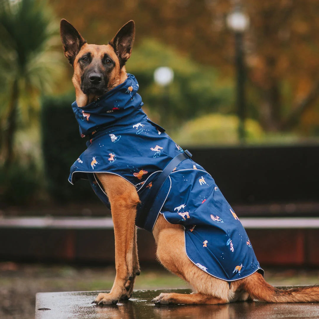 Dog Raincoat with Waterproof Windproof Coverage, Adjustable Belly Strap, Hood, Harness Openings and High-Visibility Detail
