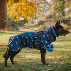 Dog Raincoat with Waterproof Windproof Coverage, Adjustable Belly Strap, Hood, Harness Openings and High-Visibility Detail