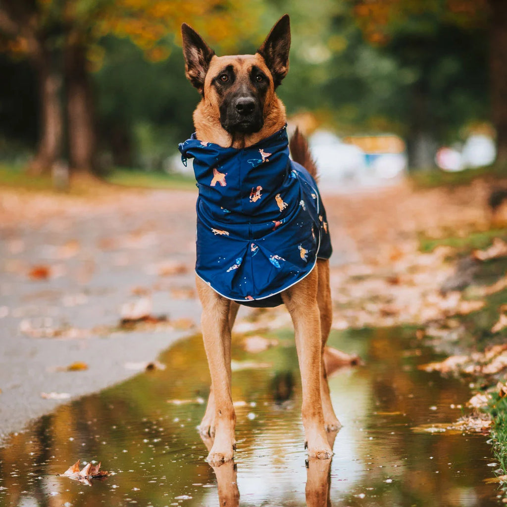 Dog Raincoat with Waterproof Windproof Coverage, Adjustable Belly Strap, Hood, Harness Openings and High-Visibility Detail