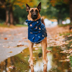 Dog Raincoat with Waterproof Windproof Coverage, Adjustable Belly Strap, Hood, Harness Openings and High-Visibility Detail