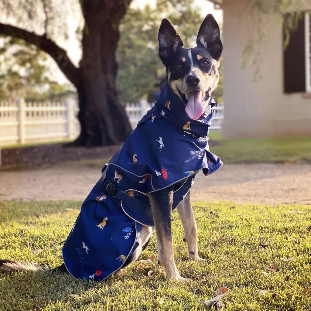 Dog Raincoat with Waterproof Windproof Coverage, Adjustable Belly Strap, Hood, Harness Openings and High-Visibility Detail