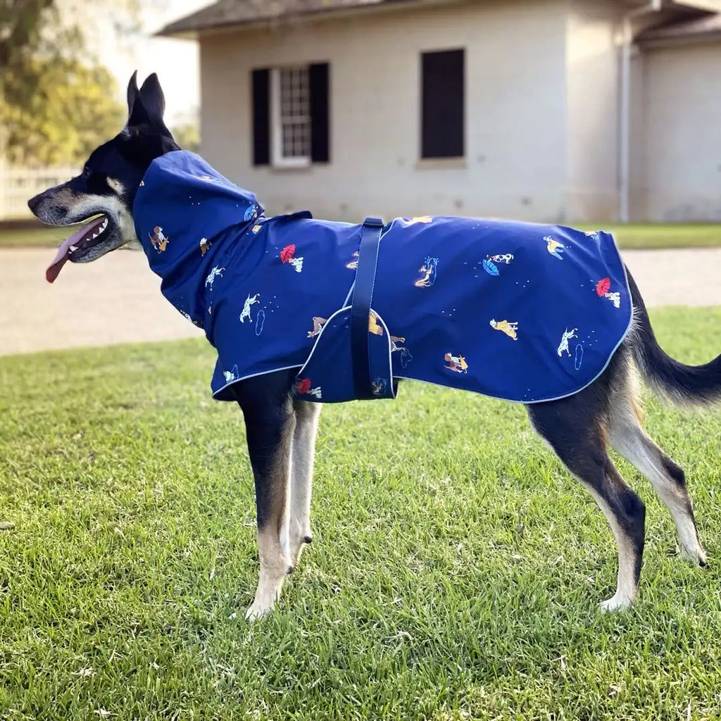 Dog Raincoat with Waterproof Windproof Coverage, Adjustable Belly Strap, Hood, Harness Openings and High-Visibility Detail