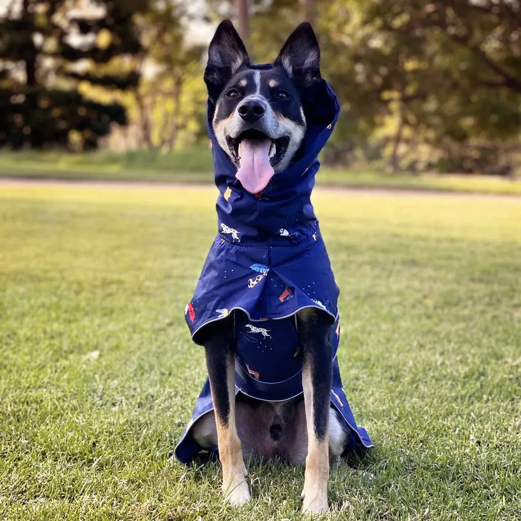 Dog Raincoat with Waterproof Windproof Coverage, Adjustable Belly Strap, Hood, Harness Openings and High-Visibility Detail