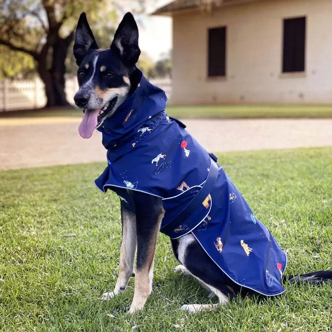 Dog Raincoat with Waterproof Windproof Coverage, Adjustable Belly Strap, Hood, Harness Openings and High-Visibility Detail