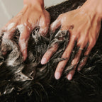 Dog Shampoo and Conditioner Mini Bath Set, Two 60mL Bottles