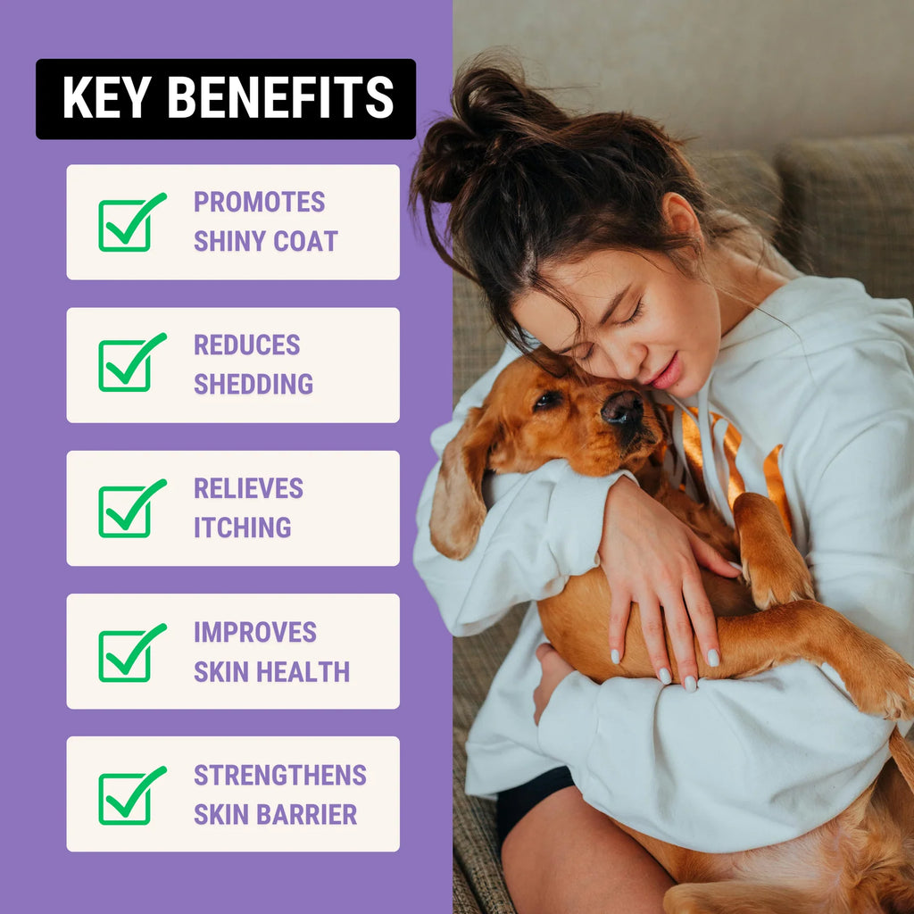 Dog Skin and Coat Soft Chew Supplements for Daily Grooming Support and a Healthy-Looking Coat