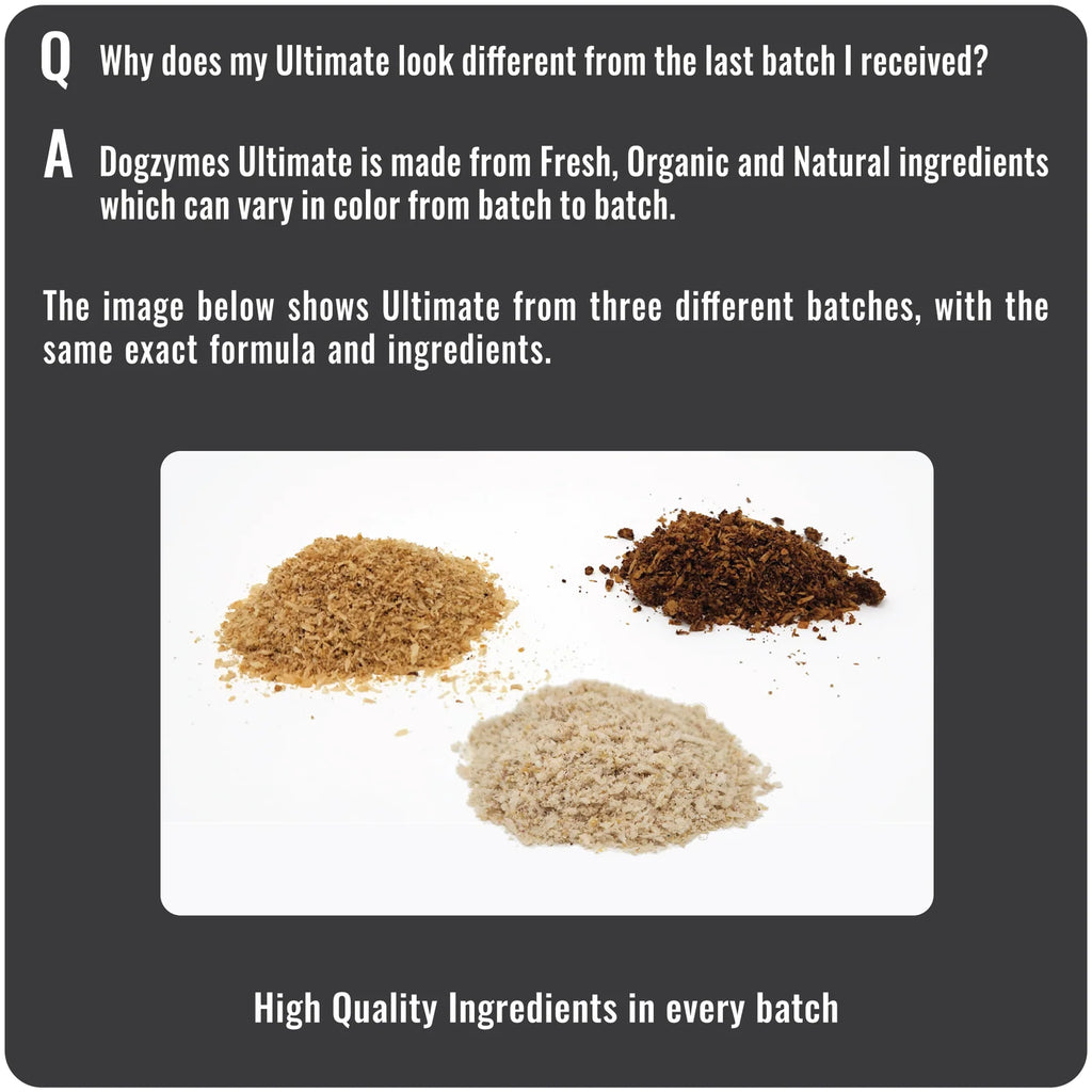 Dog Skin and Coat Supplement