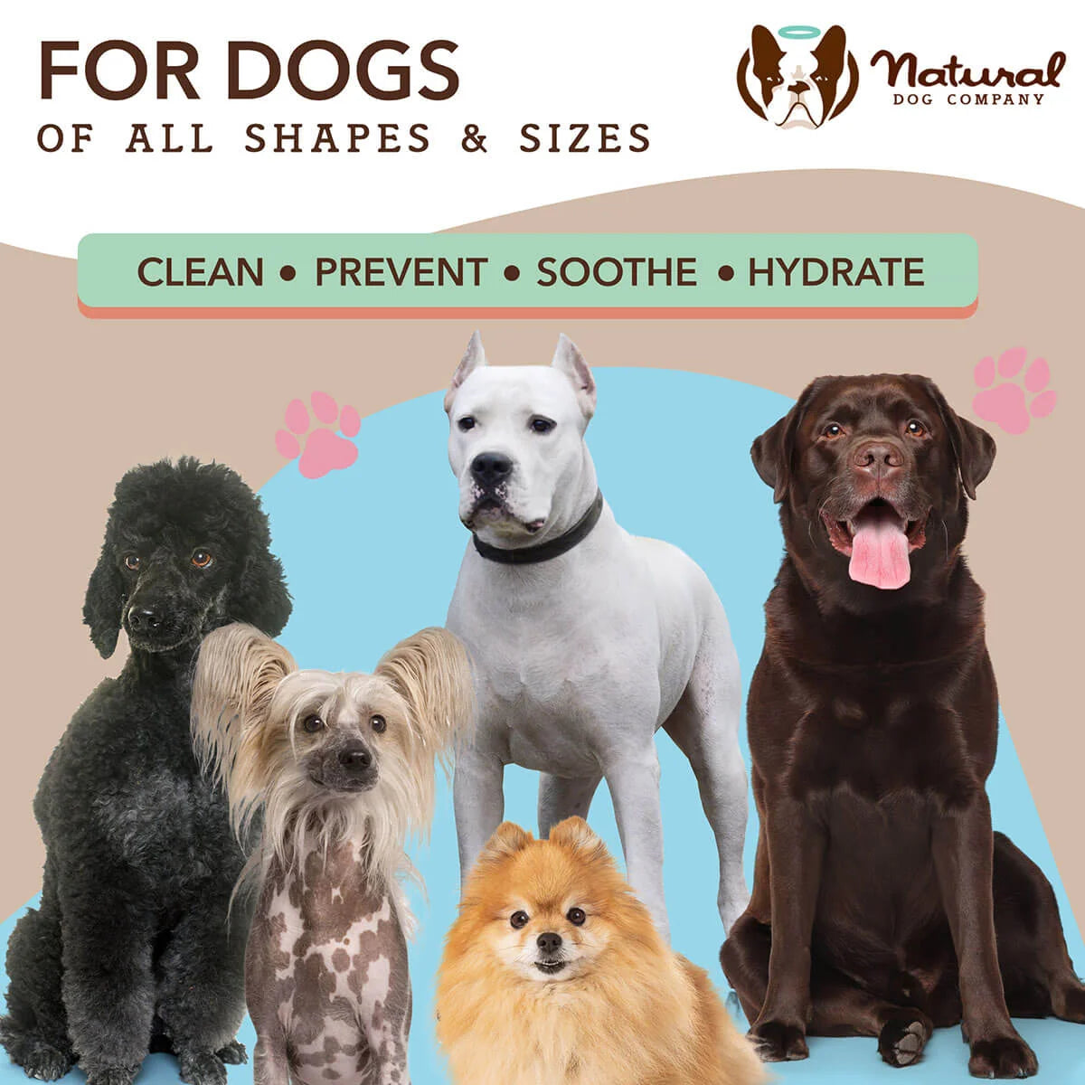 Dog Skin Care Wipes