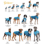 Dog Sun Protection Shirt with UPF 50+ Coverage, Lightweight Breathable Cooling Design for Outdoor Wear