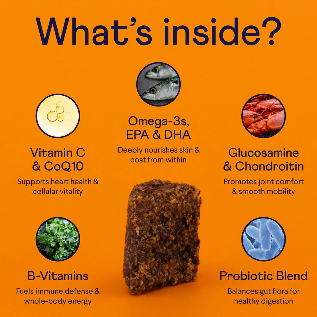 Dog Supplement Bundle