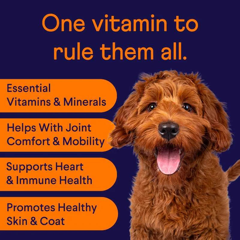 Dog Supplement Bundle