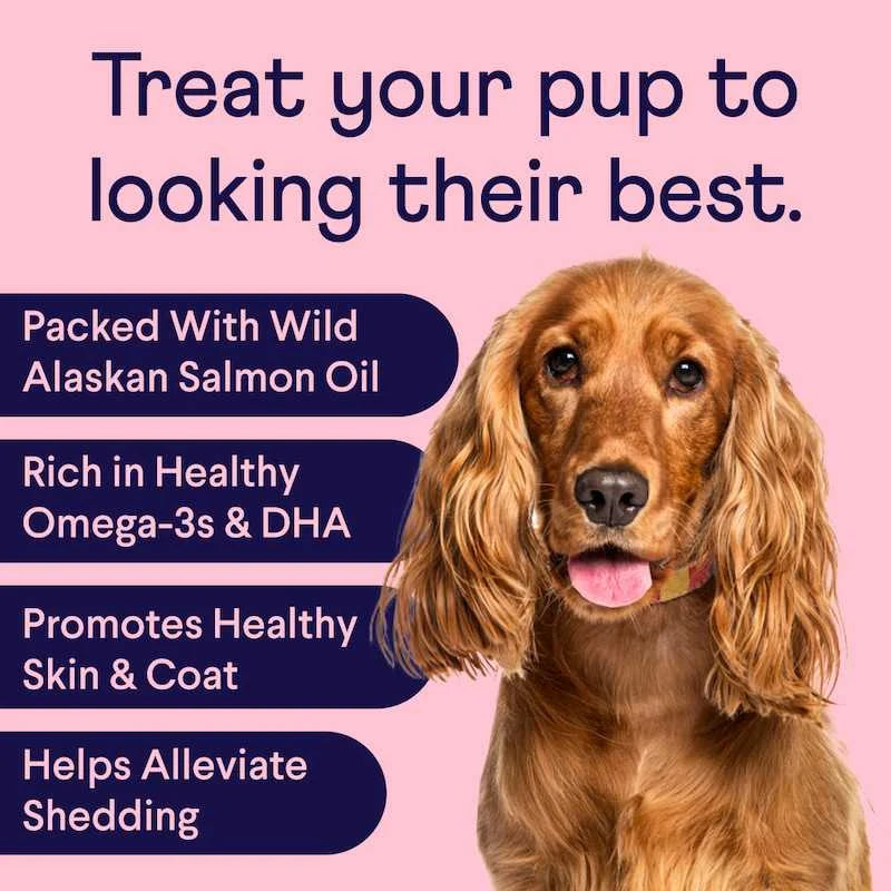 Dog Supplement Bundle