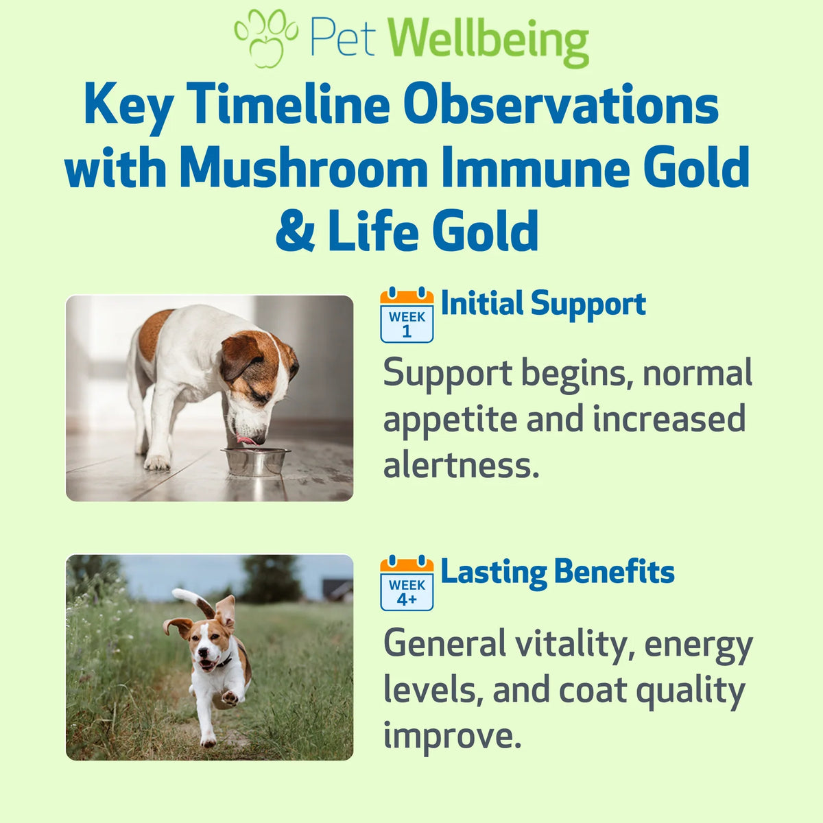 Dog Supplement Kit