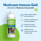 Dog Supplement Kit