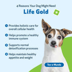 Dog Supplement Kit