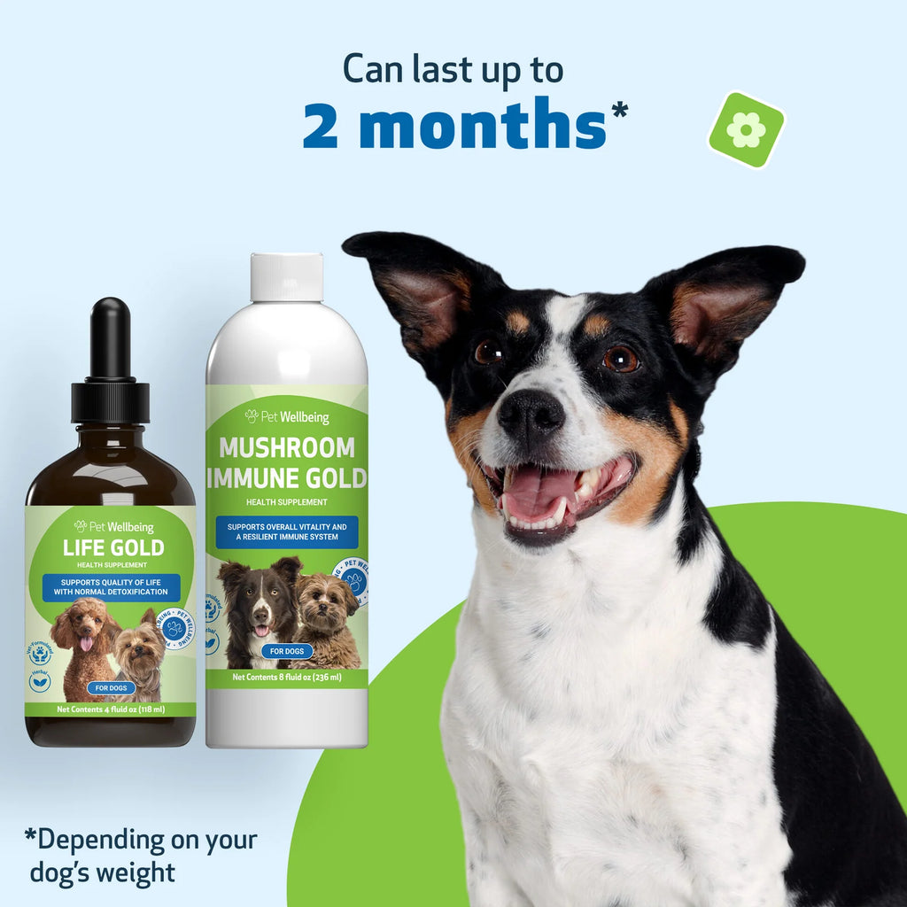 Dog Supplement Kit