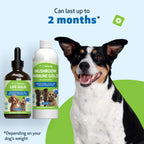 Dog Supplement Kit