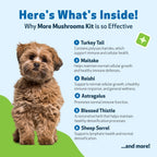 Dog Supplement Kit