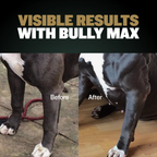 Dog Supplement Powder