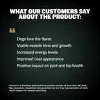 Dog Supplement Powder