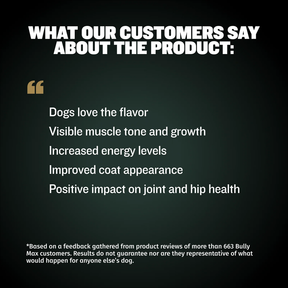 Dog Supplement Powder