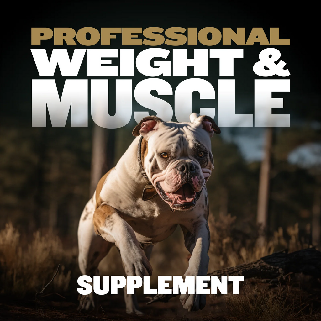 Dog Supplement Powder