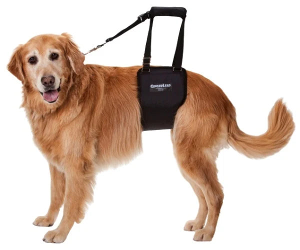 Dog Support Sling wi — Mini £39.99 (under 7kg) / Small Male £59.99 (7-20kg) / Small Female £59.99 (7-20kg) / Medium / Large (