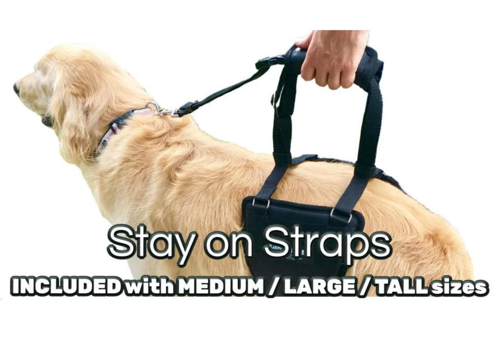 Dog Support Sling with Padded Belly Lift, Built-In Lead and Extendable Handles for Assisted Walking